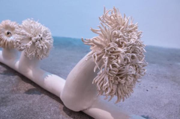 Caption: Elisa Strinna, Third Nature; Electrical Symbiosis; Cables and Sea Anemone, 2021, photo: Elisa Strinna - @Galerie im Turm Caption: Elisa Strinna, Third Nature; Electrical Symbiosis; Cables and Sea Anemone, 2021, photo: Elisa Strinna - @Galerie im Turm