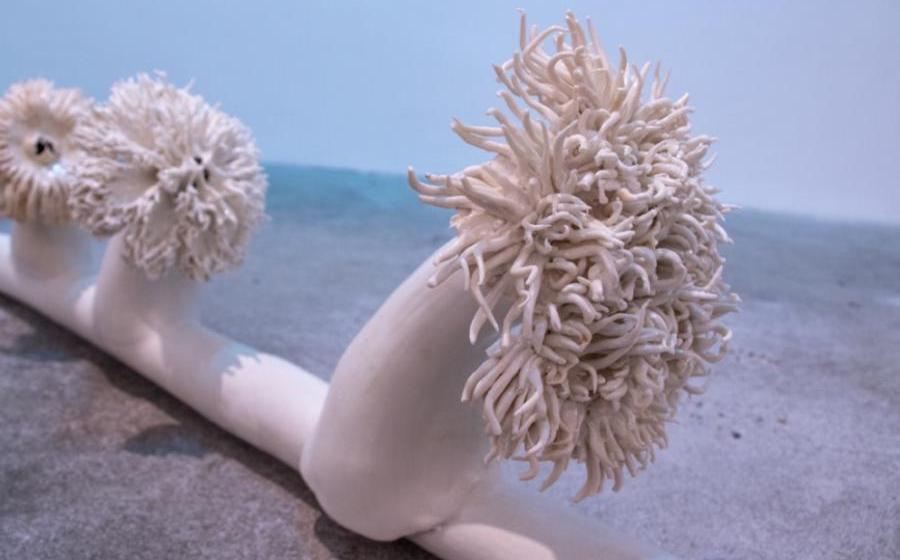 Caption: Elisa Strinna, Third Nature; Electrical Symbiosis; Cables and Sea Anemone, 2021, photo: Elisa Strinna - @Galerie im Turm