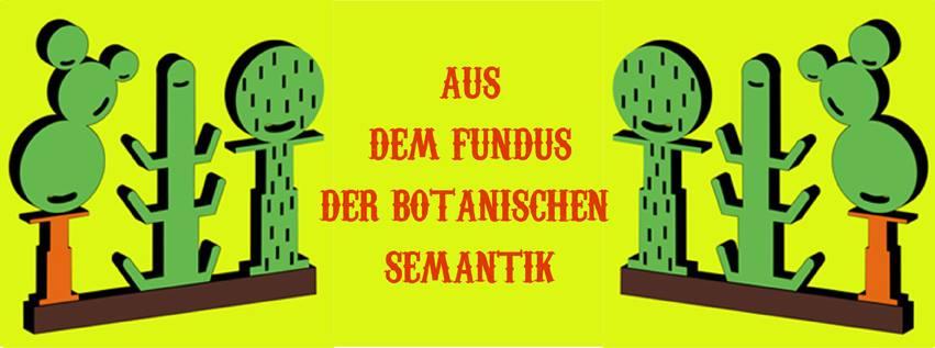 designed by MARION ANDRIEU 