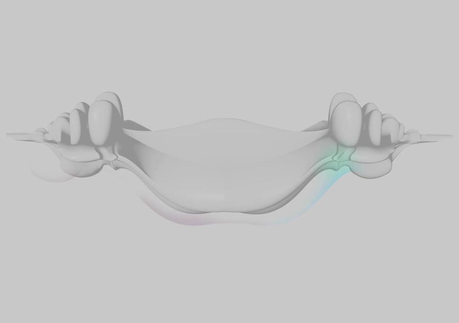 Image credit: Benjamin Penaguin 