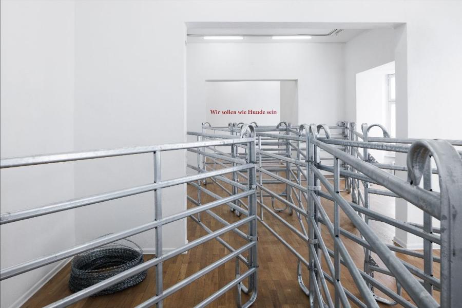 installation view: ZIERVOGEL - Wir sollen wie Hunde sein, Haus am Lützowplatz (HaL), 2023, Foto: Andreas Schimanski