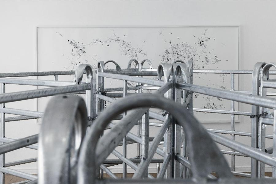  Exhibition view ZIERVOGEL - Wir sollen wie Hunde sein, Haus am Lützowplatz (HaL), 2023 Photos: Andreas Schimanski