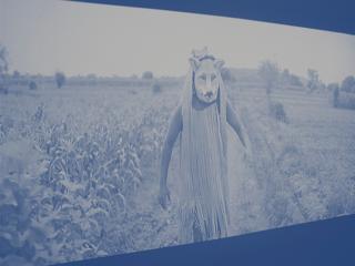 © Installation shot at Oyoun, Shibayan Halder, Moving Forest, © Madhumita Nandi