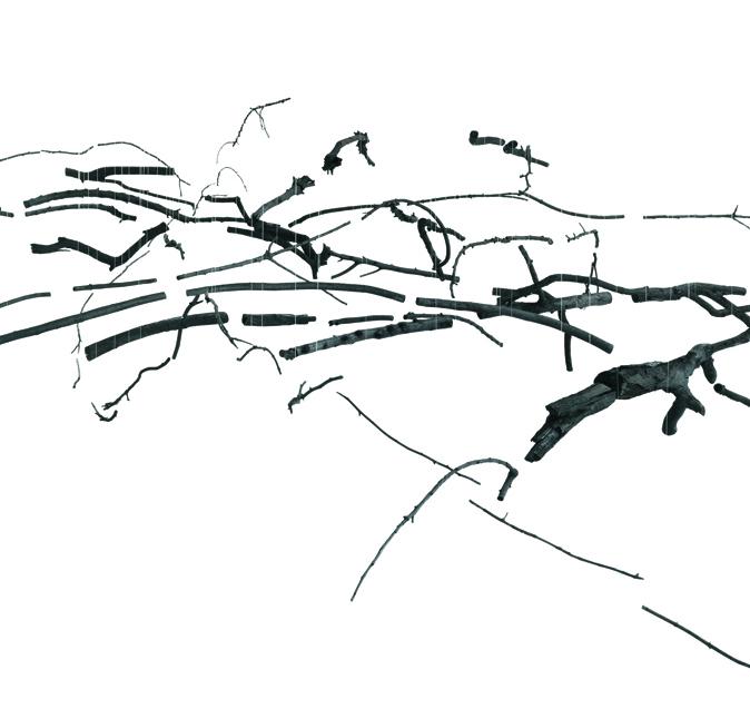 Anthrakotek_UlrikeMohr