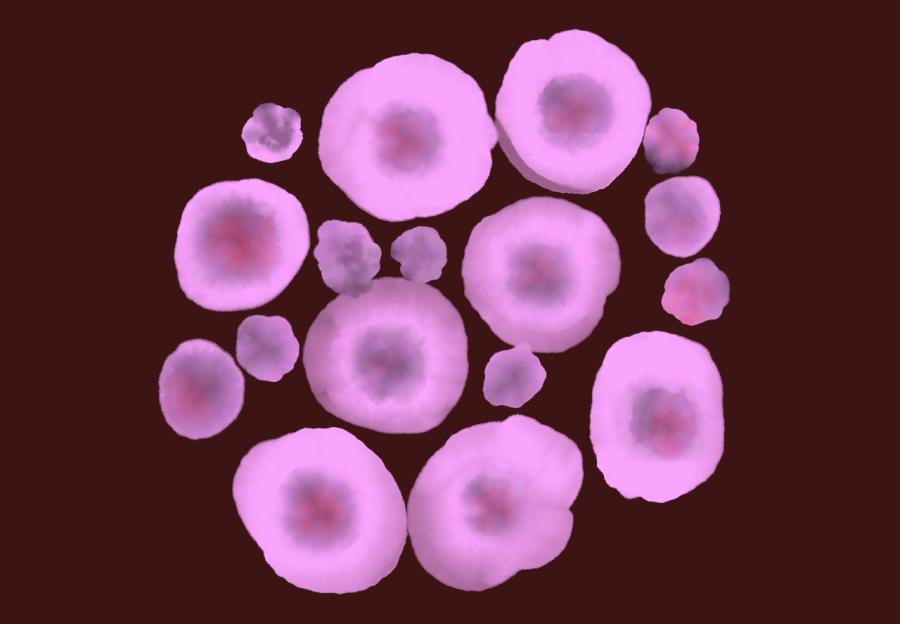 Graphic, Laura Catania