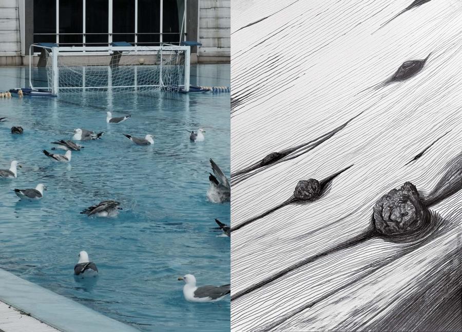Moving on Shifting Grounds - Janis Schroeder + Ralf Tekaat