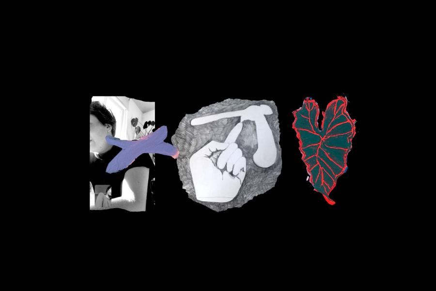 A Bird in the Grass is Worth a Thousand Hearts, Caitin Hepse and Ida Lawrence