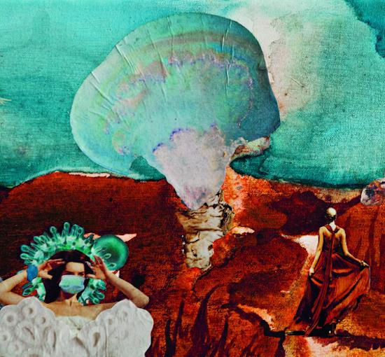 Hannah van Ginkel, Detail of H1N1, Collage on canvas Photo: Isabel Kronenberger