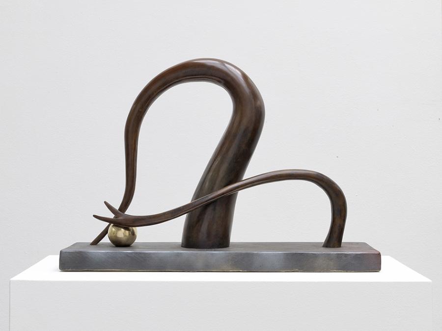 Camille Henrot, Digging for gold on another planet (Desktop series), 2014. Courtesy the artist and Johann König, Berlin. 