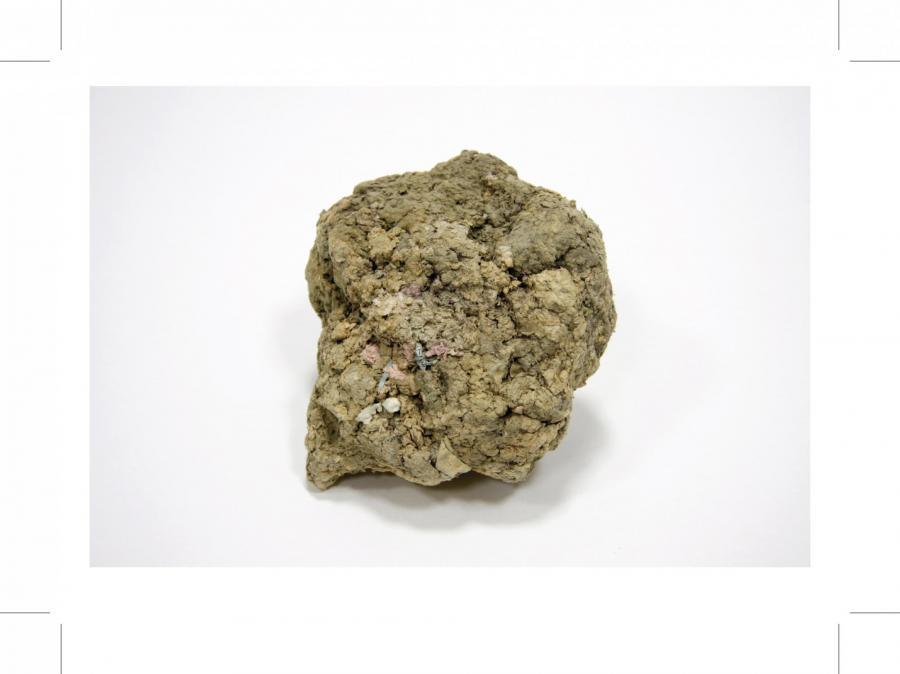 APPROPRIATING LANGUAGE #15  State of Mind