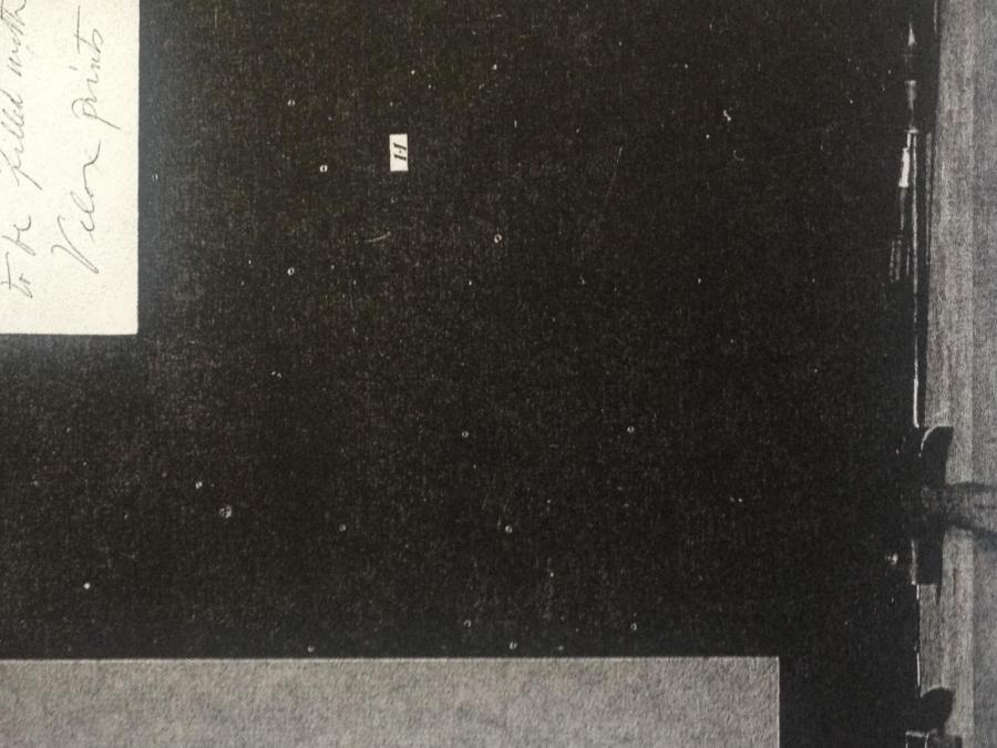 copyright Dominique Hurth