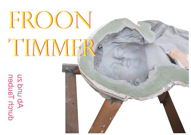 Ab und zu durch Tauben, Froon Timmer, 2017