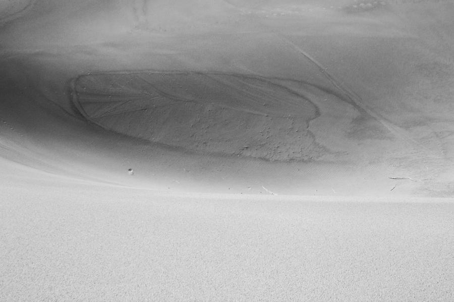 Gil Delindro, Untitled, 2016