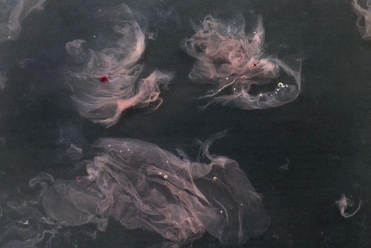 Growing cellulose (bacterial culture in liquid medium), Margherita Pevere, 2016. Foto: Margherita Pevere Growing cellulose (bacterial culture in liquid medium), Margherita Pevere, 2016. Foto: Margherita Pevere