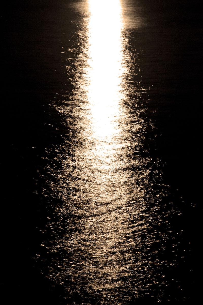 Hey Moon it's just you and me tonight #1- Leila Morrissey