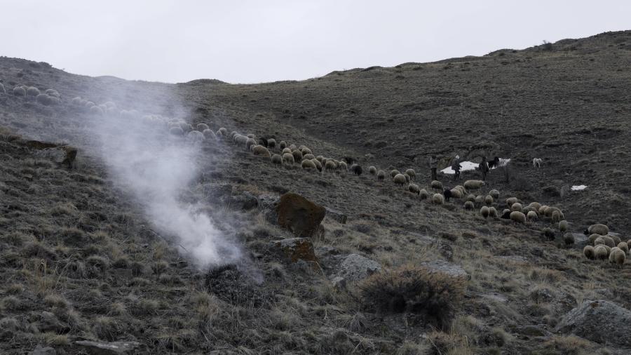 film still Landshaft, 2023, 96 min Film by Daniel Kötter