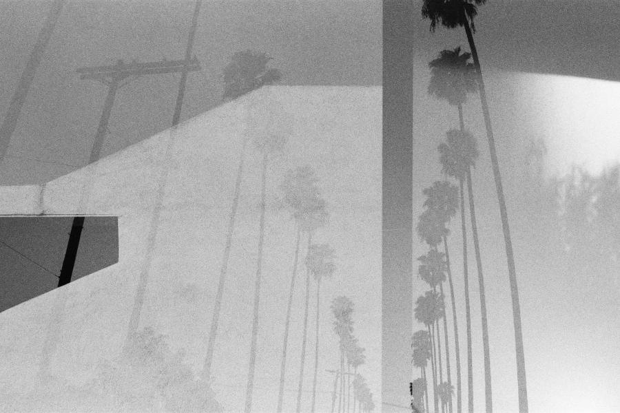 Michael Kent - California is not an Island, Das Gift