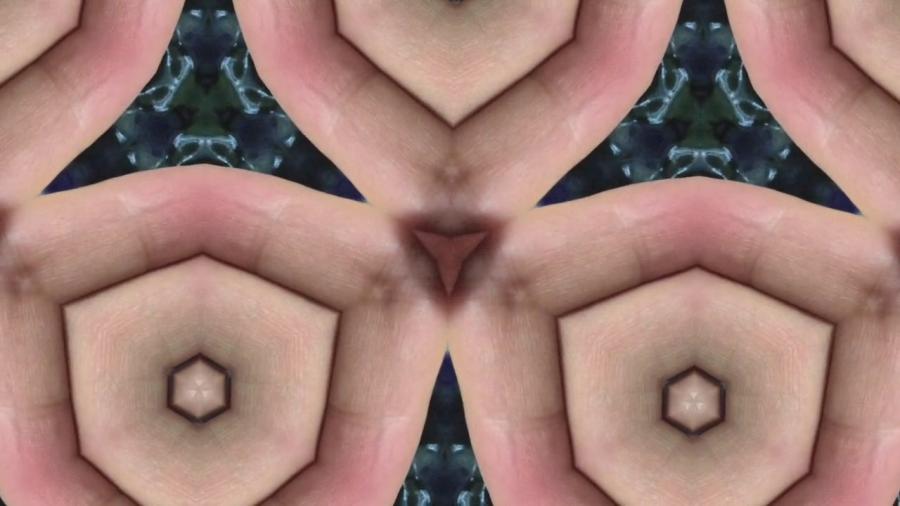 Molt, Neha Kudchadkar, 2019