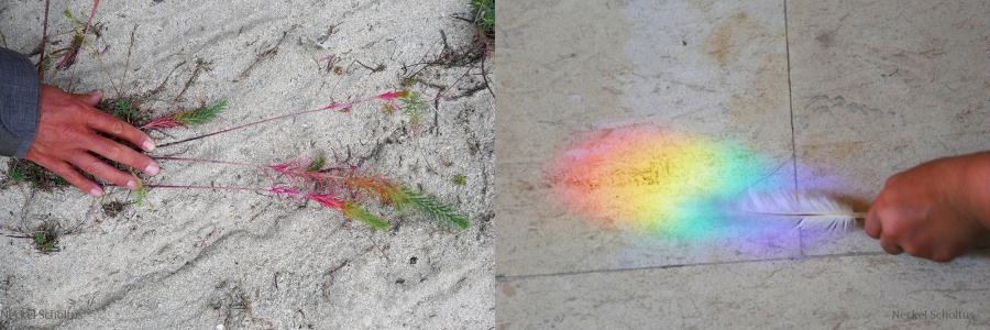 Polished/Raw a visual dialog between Berlin and Luxembourg based artists, photo by Neckel Scholtus 