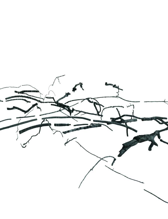 Ulrike Mohr, Anthrakothek, 2013  Photograph: Jens Ziehe, Temporäre Galerie Campus Rütli, Berlin copyright Ulrike Mohr / VG BildKunst