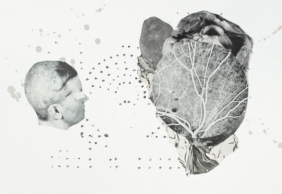 image credit Raphael-Vella