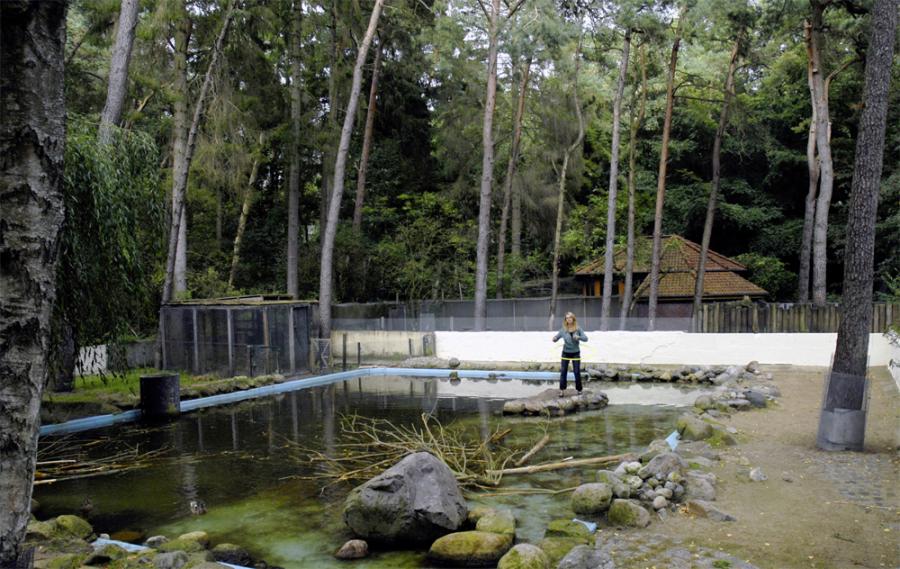 Image: Sabine Linse, Fotografie im Umkreis von Illusions and Deceptions I: Paradise, 2009