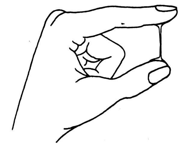 Zeichnung: Schleim auf dem Höhepunkt der Fruchtbarkeit (Spinnbarkeit) aus Clio 21/22 eine periodische Zeitschrift zur Selbsthilfe. Abgedruckt in: Gesundheitsbuch, editiert von Ulf Mann (Apothekerkollektiv am Viktoriapark), S. 330.