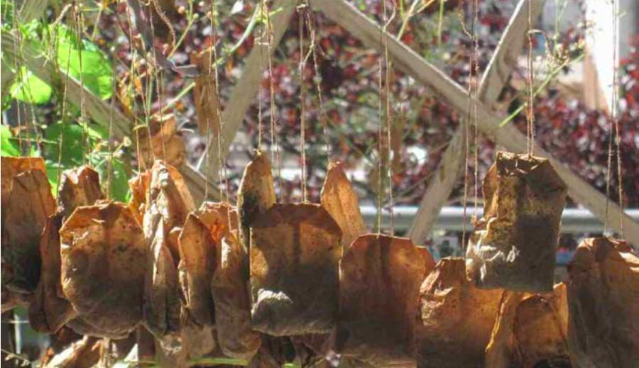  "Teebeutel" (© Renate Schweizer)