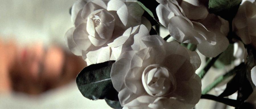 Amie Siegel, Genealogies, 2016, HD video, (c) Amie Siegel, courtesy Simon Preston Gallery, New York