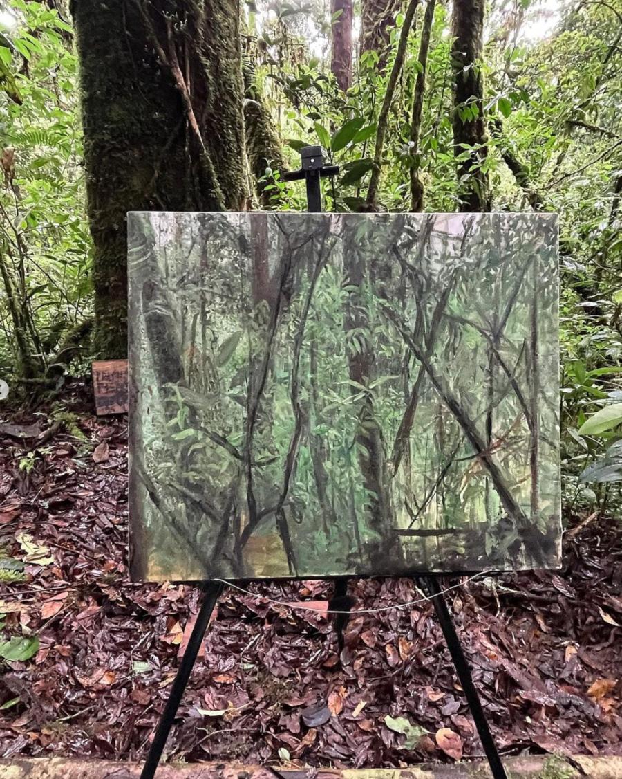 Painting in a cloud forest, North Highlands, Guatemala, 2023 Photo by Haley Mellin