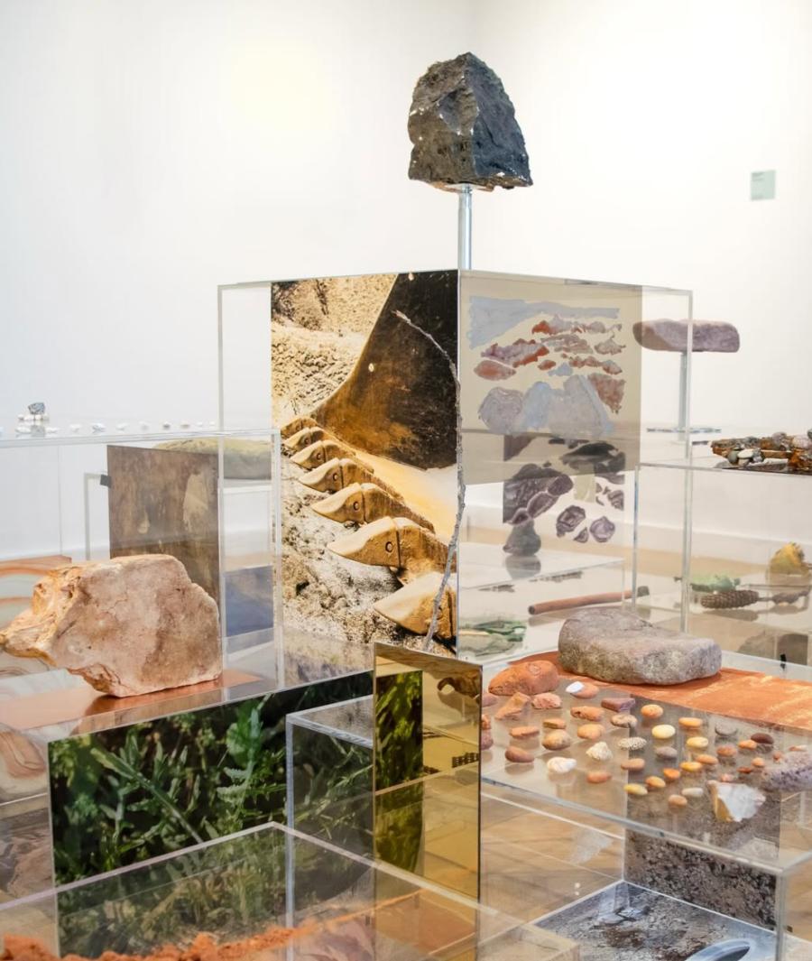 Photo : A VECES HAY QUE TROPEZAR DOS VECES CON LA MISMA PIEDRA - Installation of found objects, drawings, photographs and plexiglass boxes, variable dimensions. Installation view Solastalgie, Museum Giersch, Frankfurt, 2025