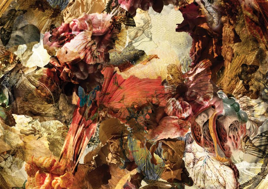 Tales of Telomeres Kudlacek