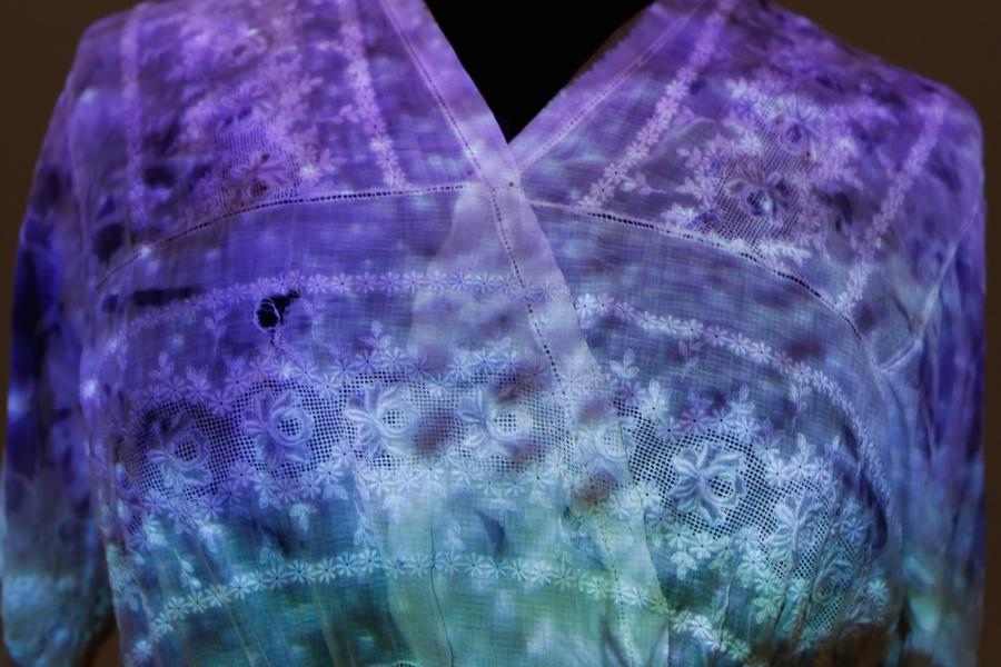  The Communicating Bacteria Dress (detail) by Anna Dumitriu Photo (C) Tim Deussen