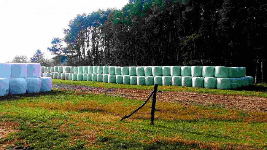 Heuplastik – © Tom Albrecht