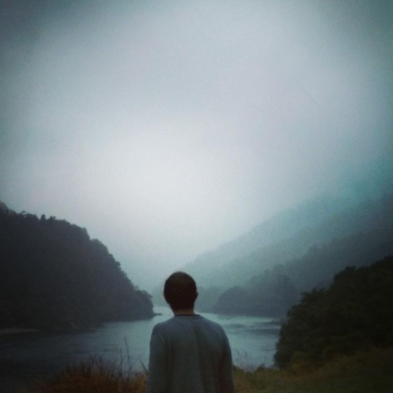 In Pursuit of the Picturesque: In Pictures (Observations from New Zealand), 2013 - 14