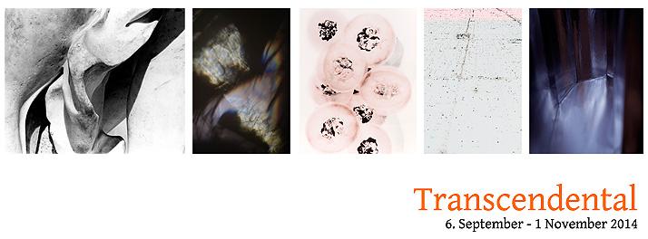 Transcendental at Galerie Pavlova Transcendental at Galerie Pavlova