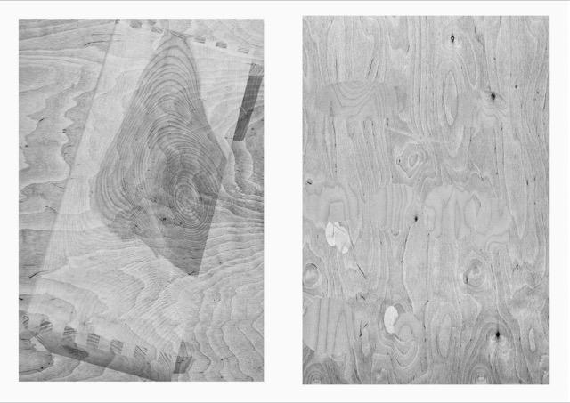 morph_Komposit 2 und 8, 70x50 cm, Fotografie Digitalprint, Bildrecht Wien, Walter Ebenhofer 