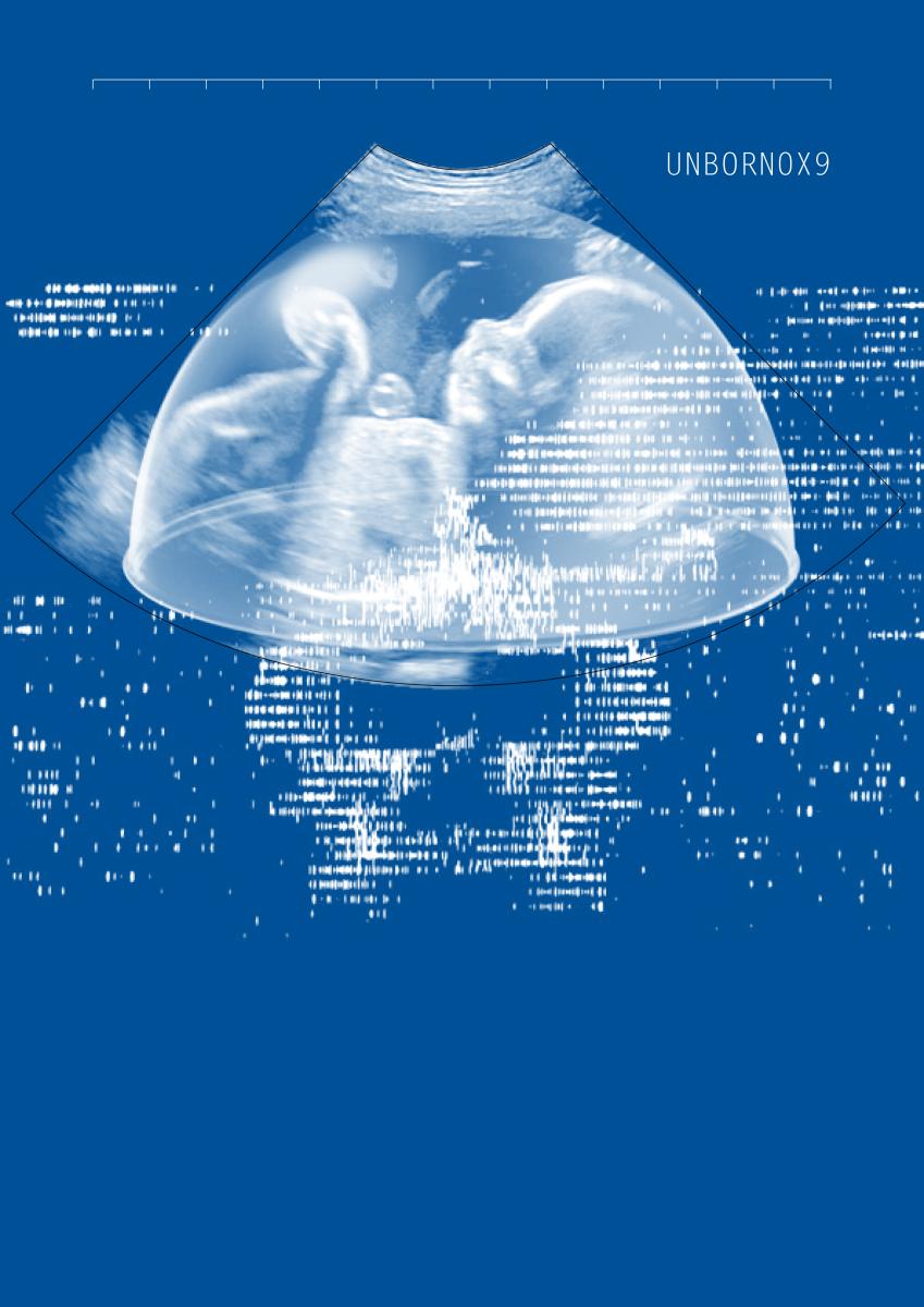 Permeable Bodies: Unborn0x9 ULTRASOUND Reading Group