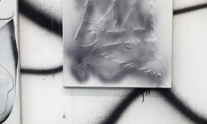 Image: Studio Sophia Schama