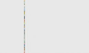 Camilo Brau, Courtesy Kuckei + Kuckei, Berlin