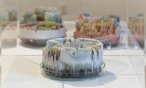 [macro]biologies II: organisms art laboratory