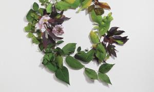 School, photo by Dana Yoeli