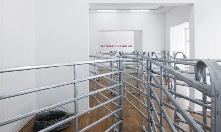 installation view: ZIERVOGEL - Wir sollen wie Hunde sein, Haus am Lützowplatz (HaL), 2023, Foto: Andreas Schimanski