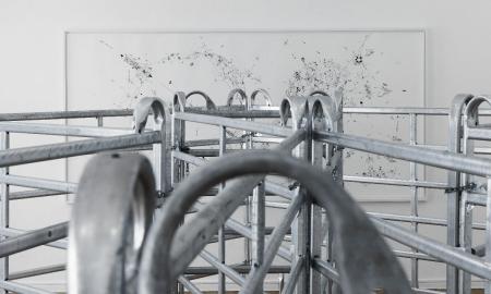  Exhibition view ZIERVOGEL - Wir sollen wie Hunde sein, Haus am Lützowplatz (HaL), 2023 Photos: Andreas Schimanski