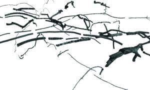 Anthrakotek_UlrikeMohr