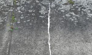 PSF 2015: Runout Nr. 11