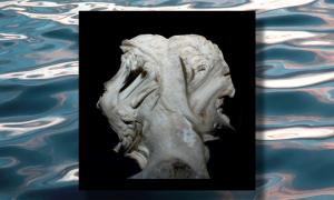 PSF 2015: A Soft Tragedy