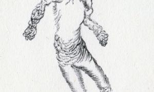 PSF 2015: Dazed and Orthorexic