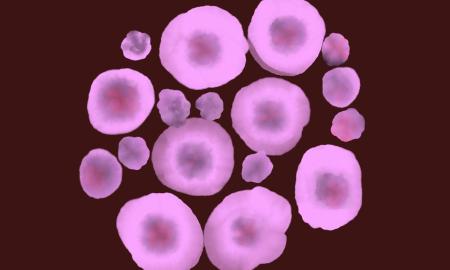 Graphic, Laura Catania