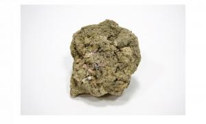 APPROPRIATING LANGUAGE #15  State of Mind